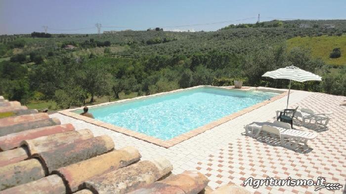 a swimming pool with an umbrella and two chairs at Agriturismo Terre D'Ulivi in Moscufo