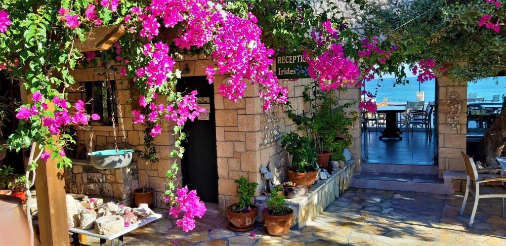 A garden outside Irides