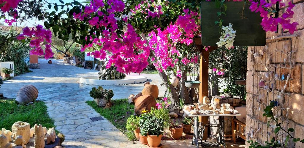 A garden outside Irides
