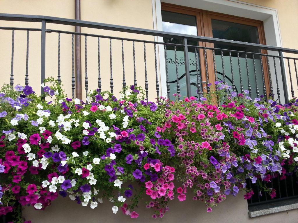 una finestra piena di fiori su un balcone di Locanda Bellaguarda B&B a Tovo di Sant'Agata