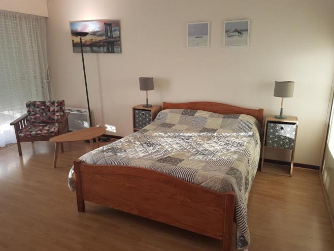 een slaapkamer met een bed en een woonkamer bij Appartement T1 central pour cures courts séjours in Saint-Paul-lès-Dax
