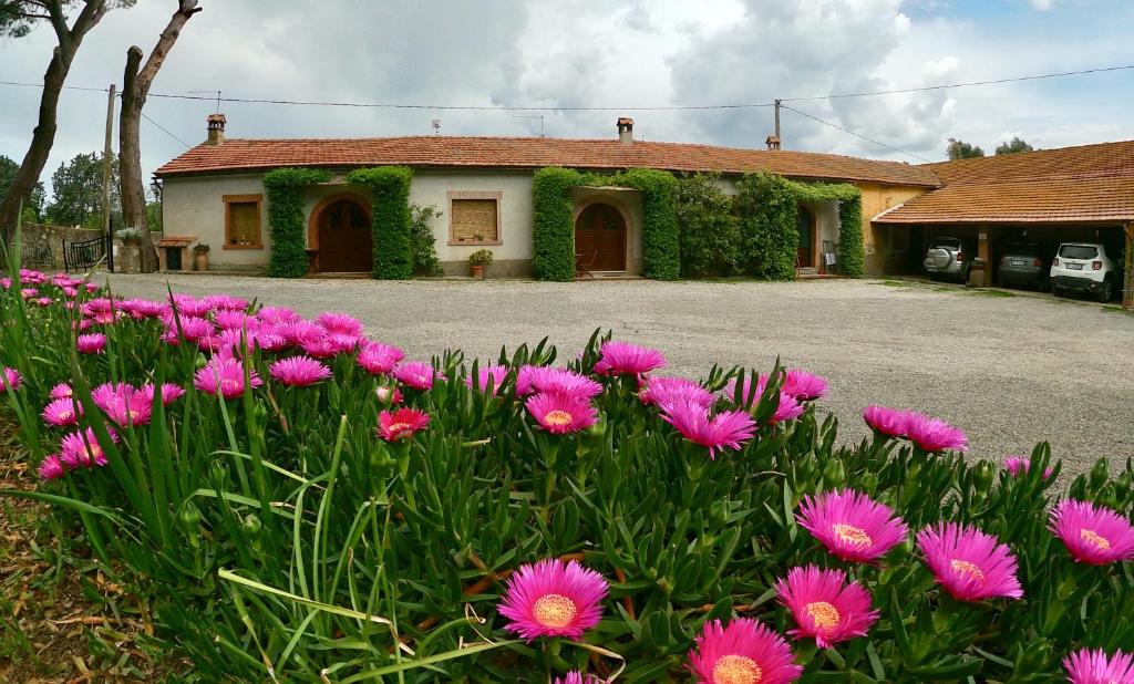 Un mazzo di fiori rosa davanti a una casa di Agriturismo Monte Alzato a Capalbio