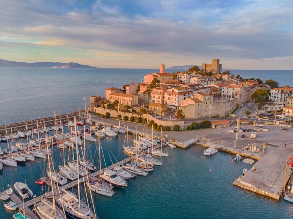 an aerial view of a harbor with boats in the water at Bilocale Garibaldi nel centro di Talamone in Talamone