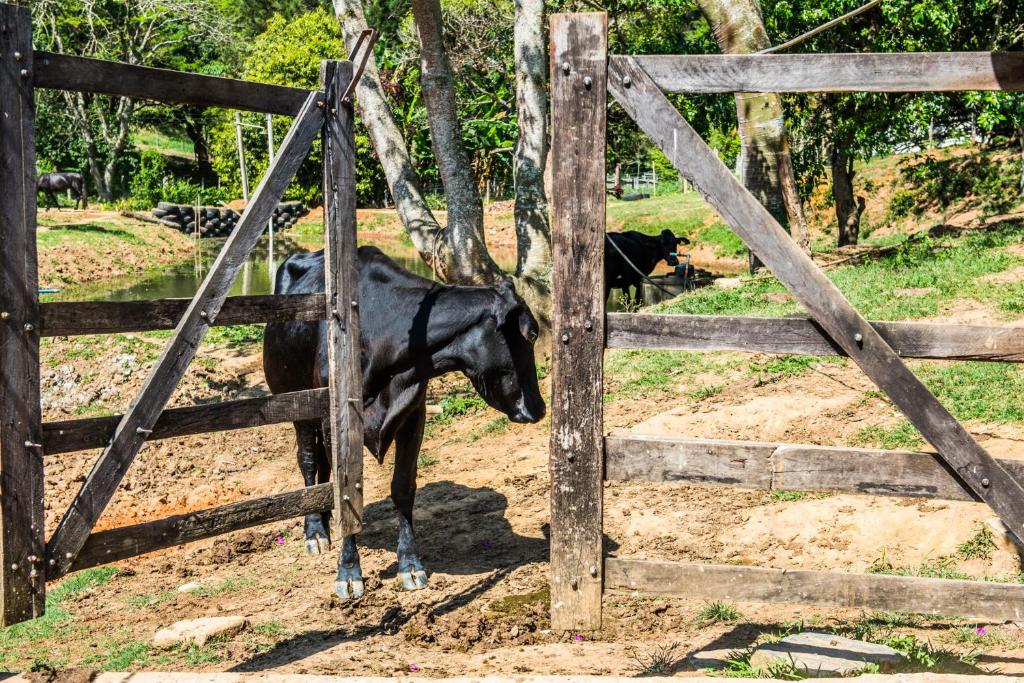  Sitio três porteiras