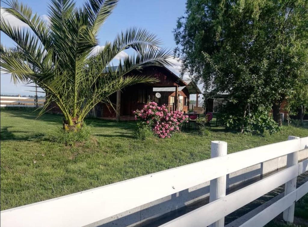 a house with a palm tree and a white fence at CABAÑAS LOS CASTAÑOS in Los Ángeles