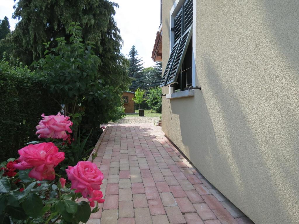 Zahrada ubytování Titi Family Apartman