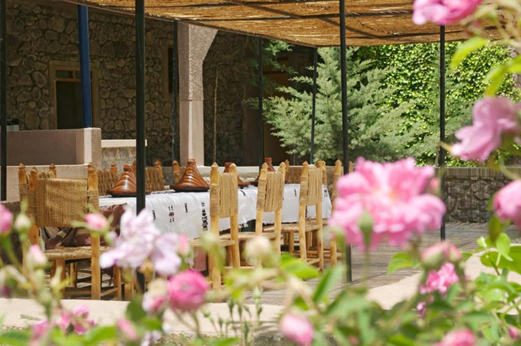 Zahrada ubytování Hotel Igoudar Armed