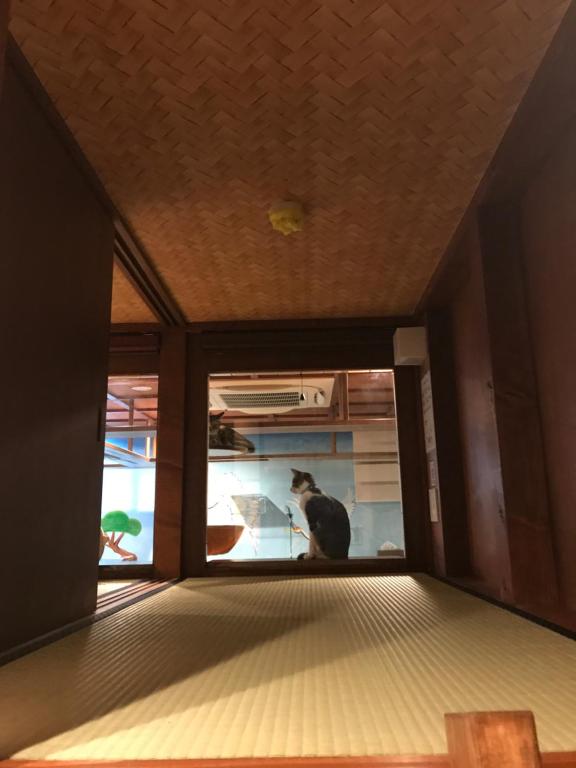 Postel nebo postele na pokoji v ubytování Cat Spa & Cat Ryokan by Neco Republic Osaka