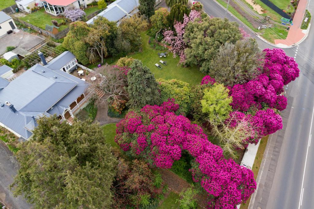 an aerial view of a yard with flowers and trees at Anabel's of Scottsdale in Scottsdale