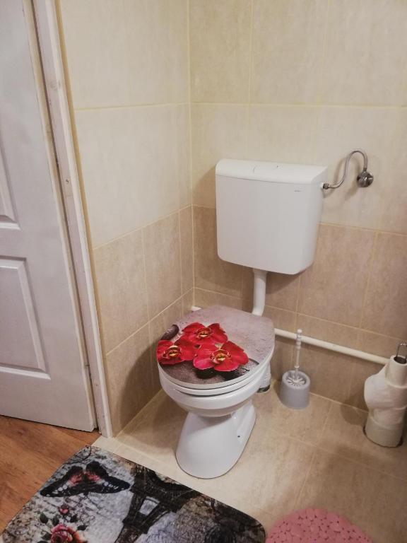 Kúpeľňa v ubytovaní Örökzöld Apartman Szeged