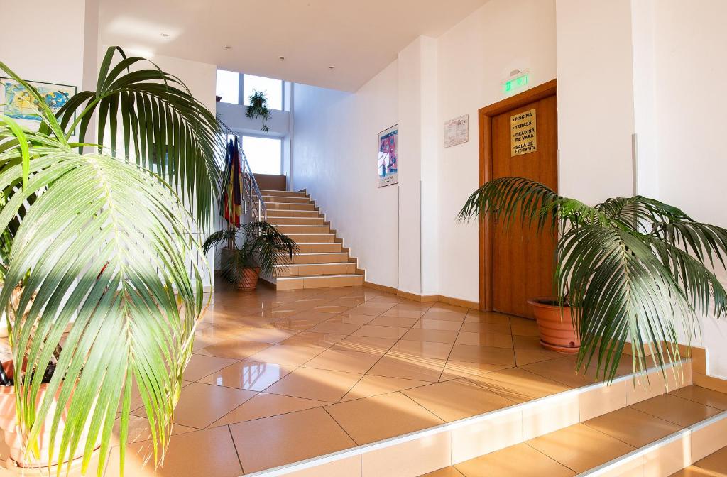 Hotel Dana - Resim 17