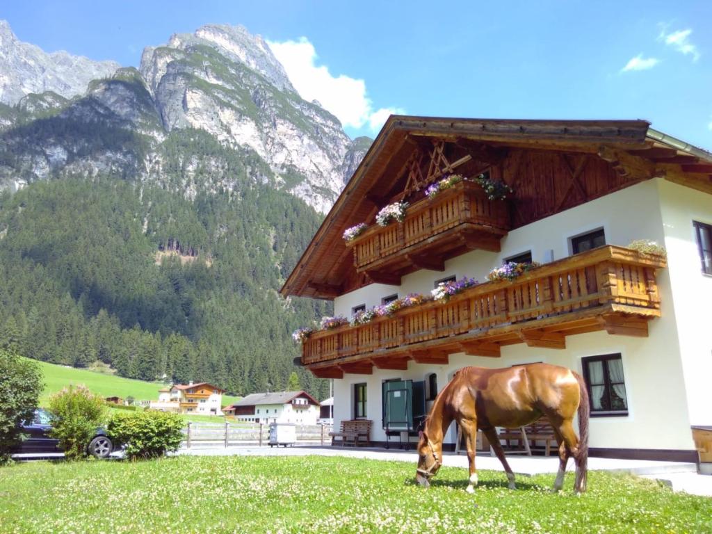 a horse grazing in the grass in front of a building at Auenhof in Gschnitz