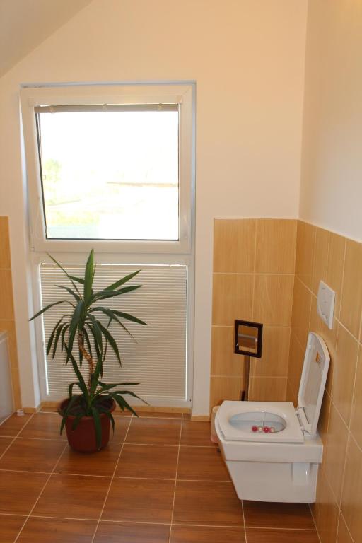 Private holiday house Vivendi的一间浴室