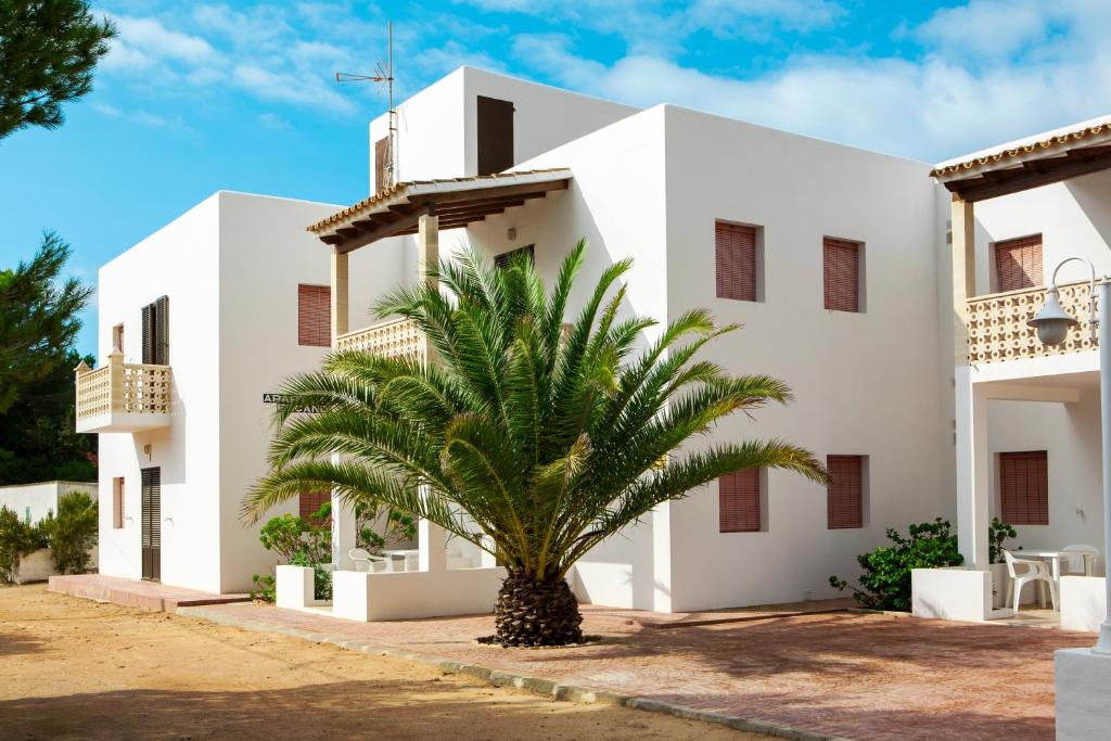 a palm tree in front of a white building at Apartamentos Escandell - Formentera Vacaciones in Playa Migjorn
