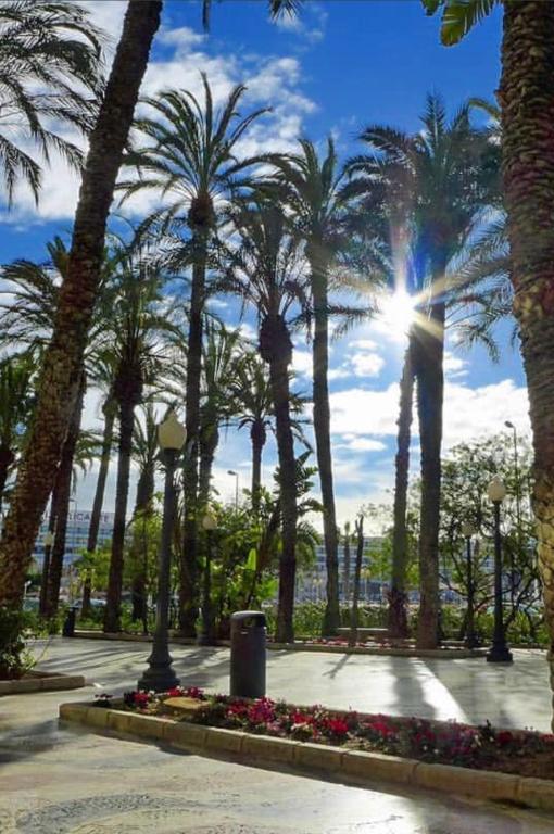 Villa 5 Suites ALICANTE, Alicante – Updated 2023 Prices