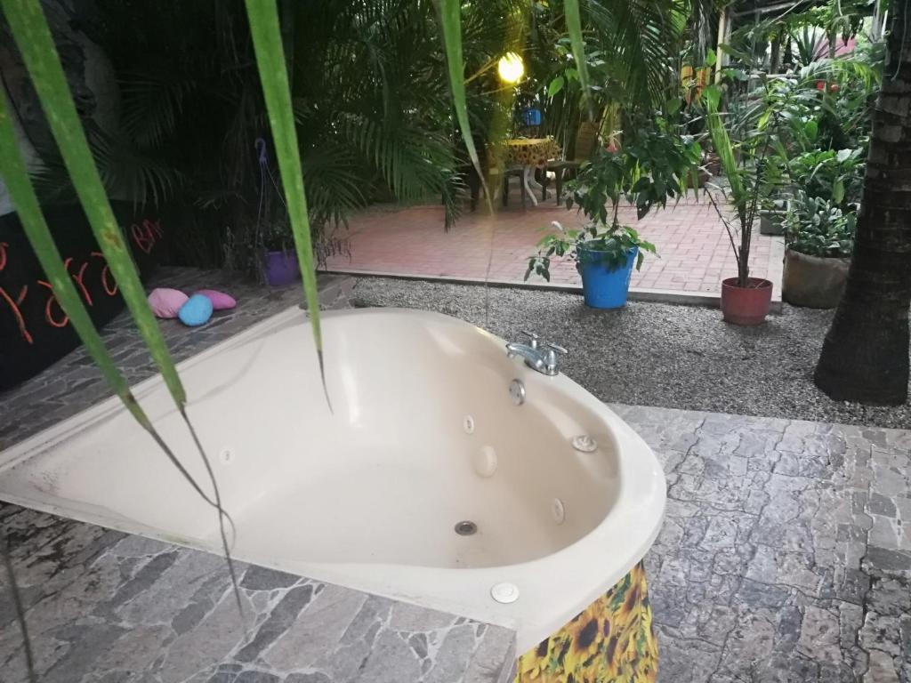 Zahrada ubytování Hostal Oloncito