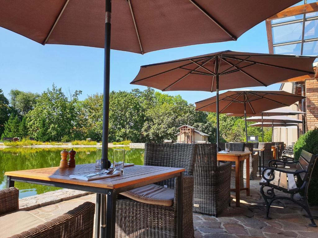 Zahrada ubytování Park Hotel Popovicky