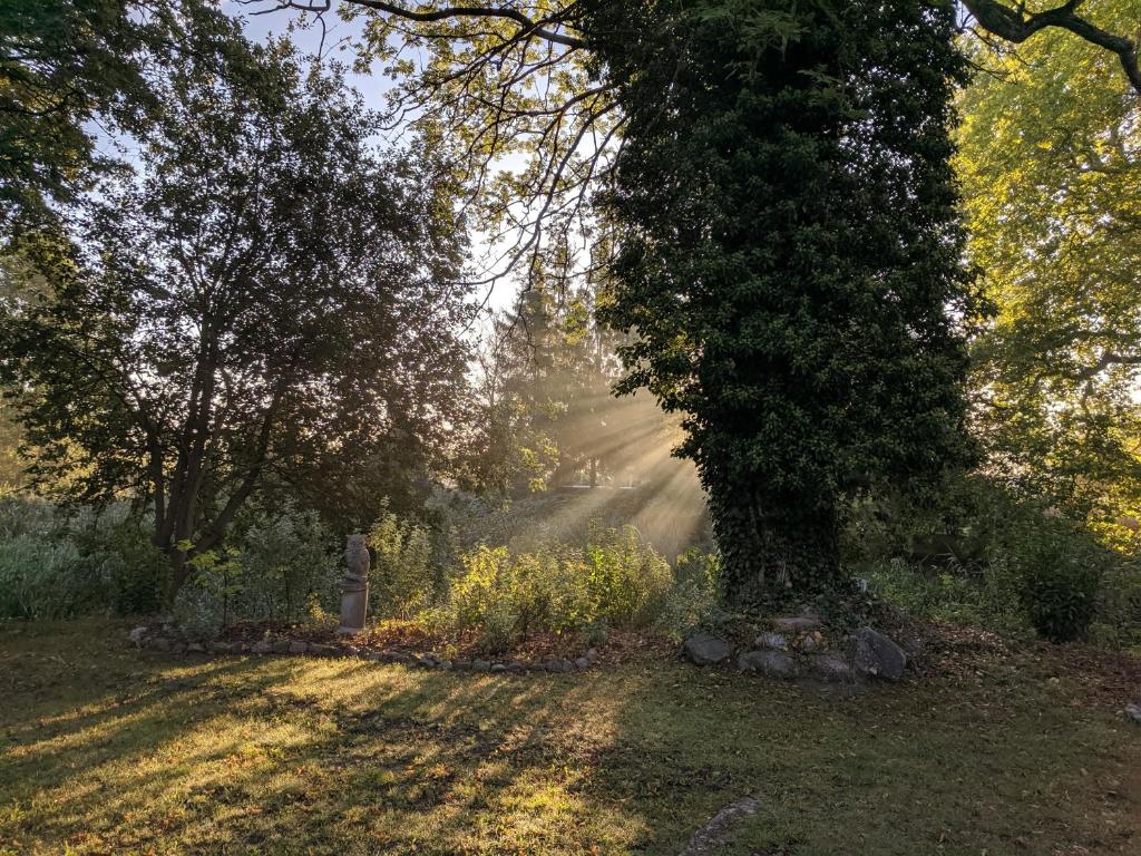Zahrada ubytování Schlossgut Gorow