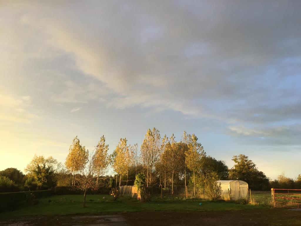 a group of trees in a field with a sky at Le Vert Buisson in Cartigny-lʼÉpinay