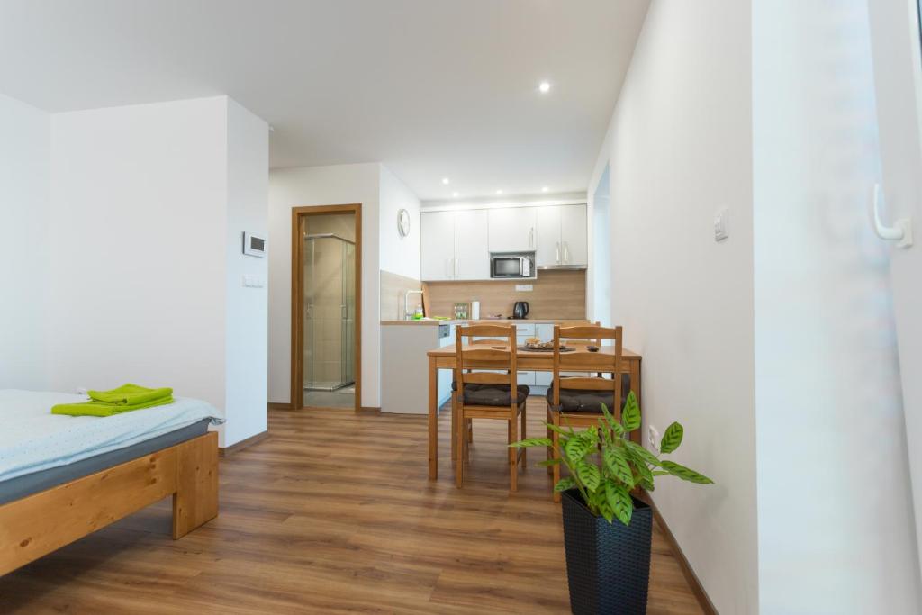 ANICO apartmány - Apartamento
