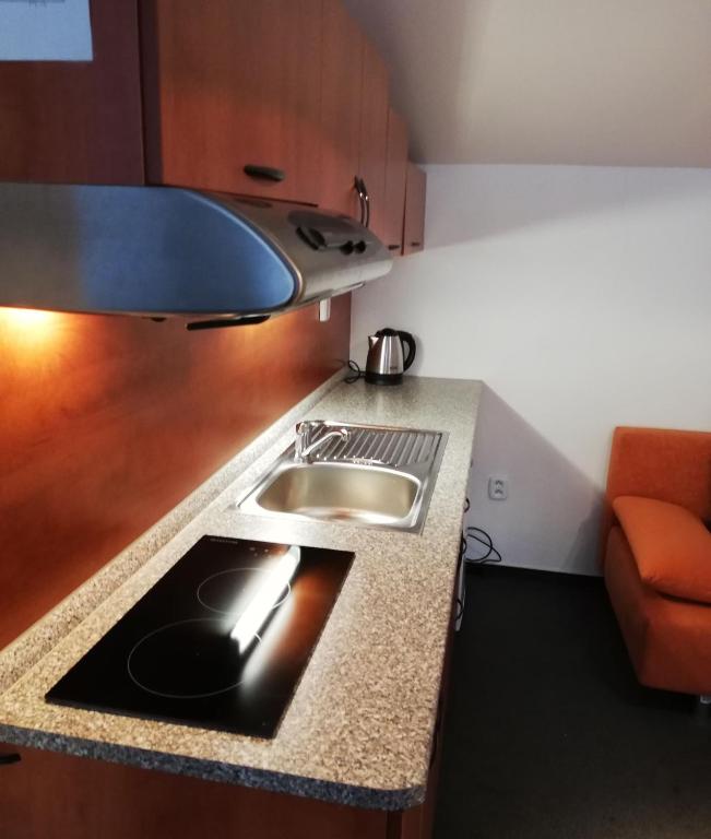 A kitchen or kitchenette at Štúdiá Správa TANAPu