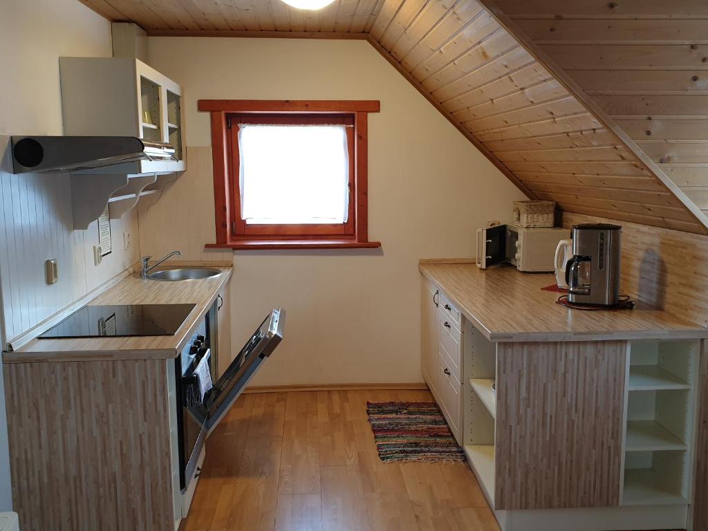 Kuchyň nebo kuchyňský kout v ubytování Sojka Resort
