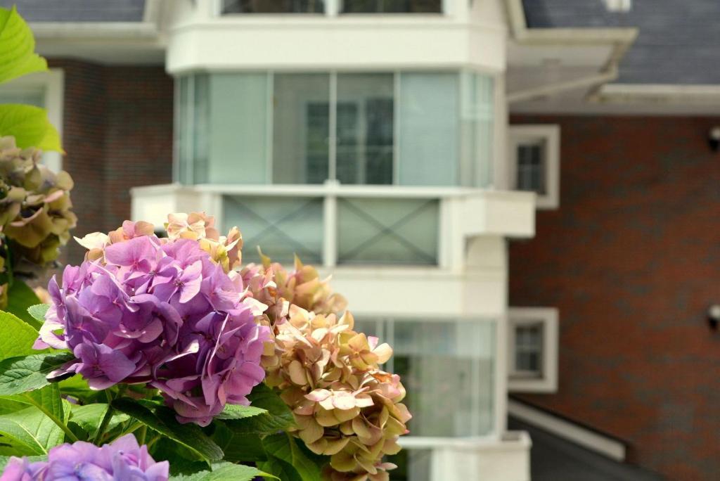  LOCAR-IN GRAMADO Homelland - 204