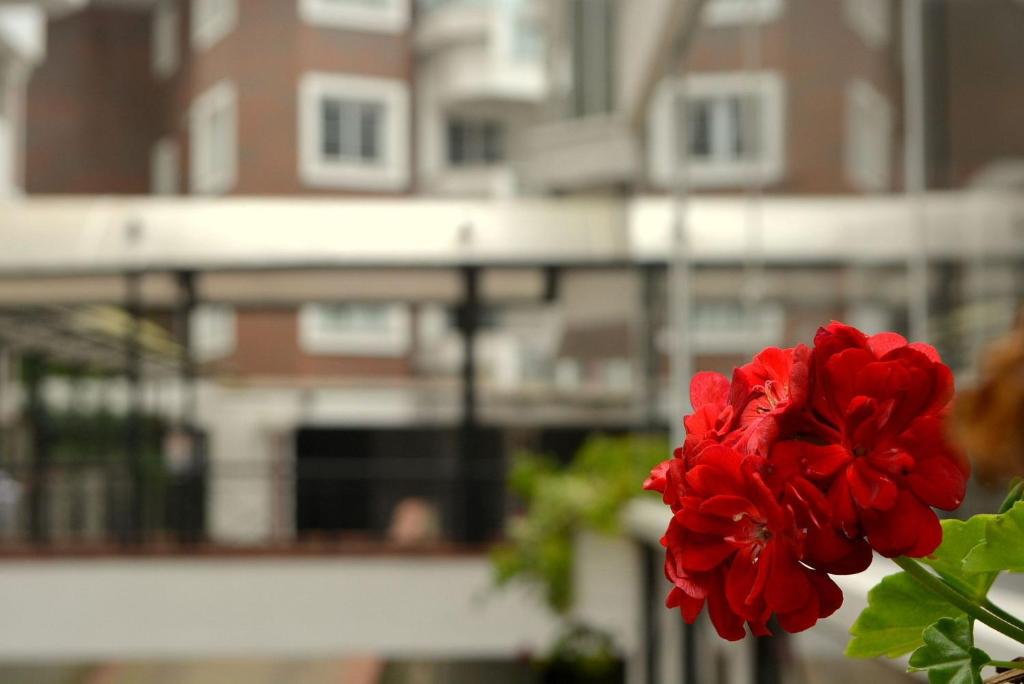  LOCAR-IN GRAMADO Homelland - 204