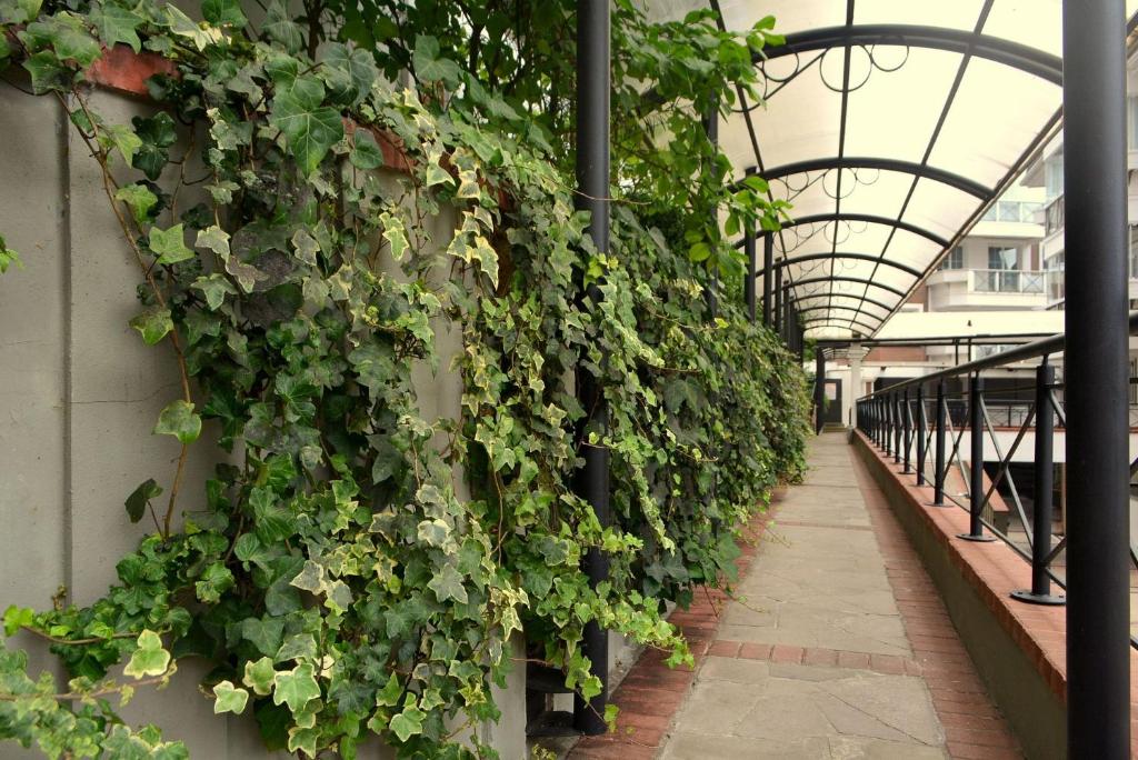  LOCAR-IN GRAMADO Homelland - 204