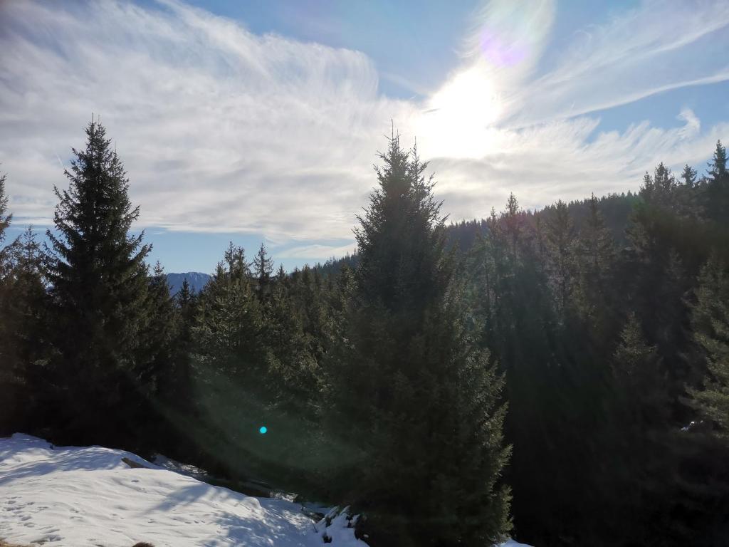 Příroda nedaleko apartmánu