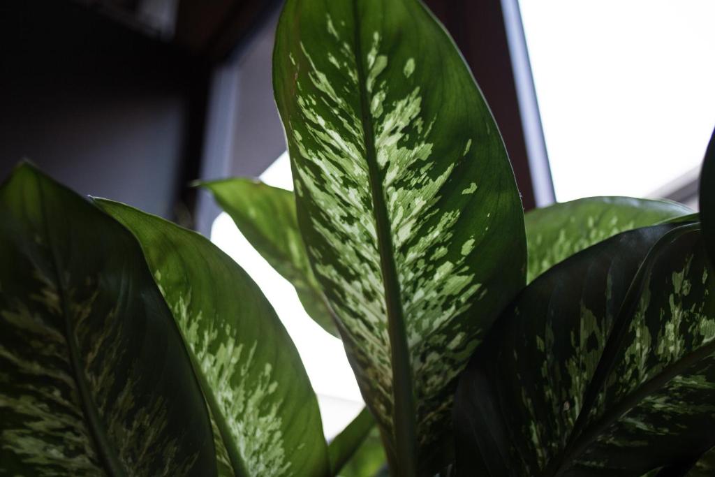 c-hotels Joy - Resim 14