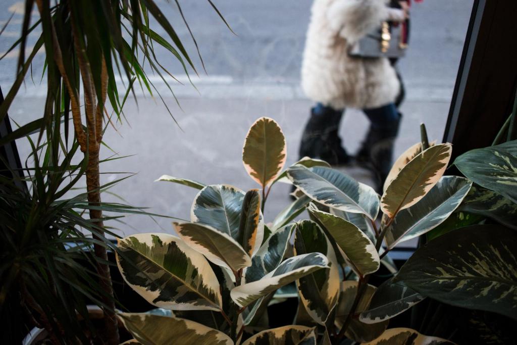 c-hotels Joy - Resim 18