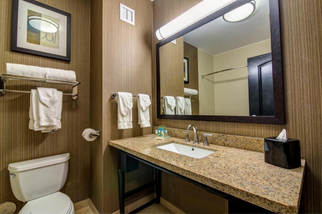 Holiday Inn Arlington Northeast by IHG - Habitación Con Cama Extragrande - No Fumadores
