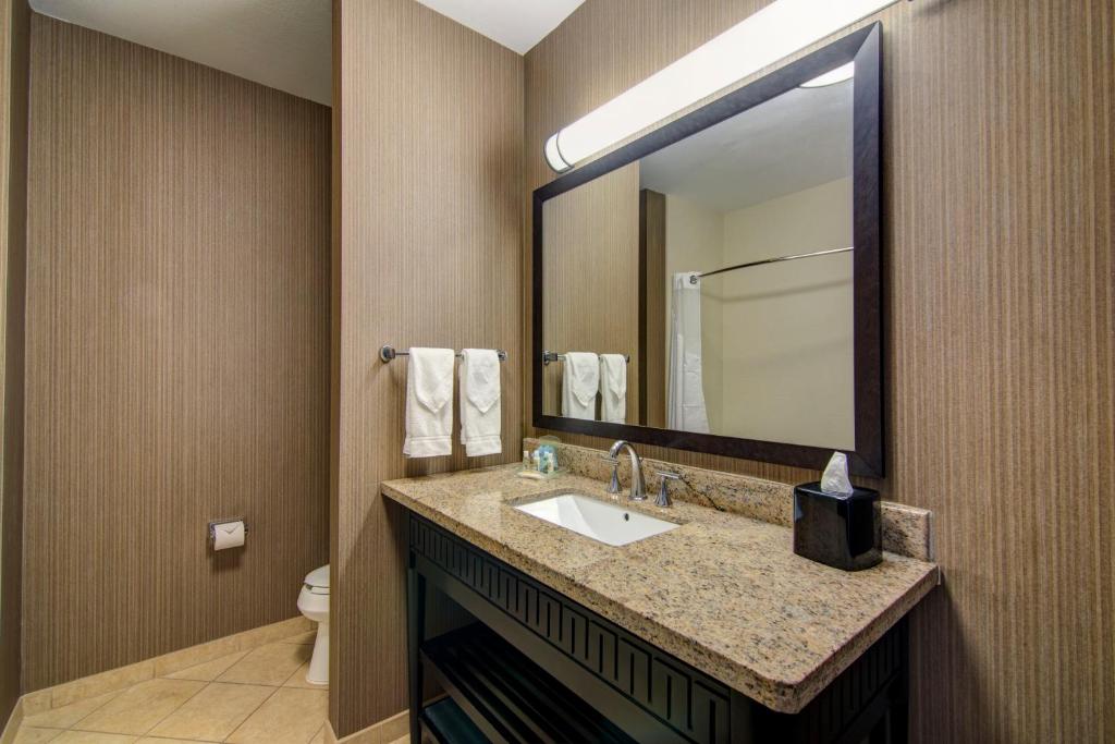 Holiday Inn Arlington Northeast by IHG - Suite Lit King-Size Avec Canapé-Lit - Non-Fumeurs
