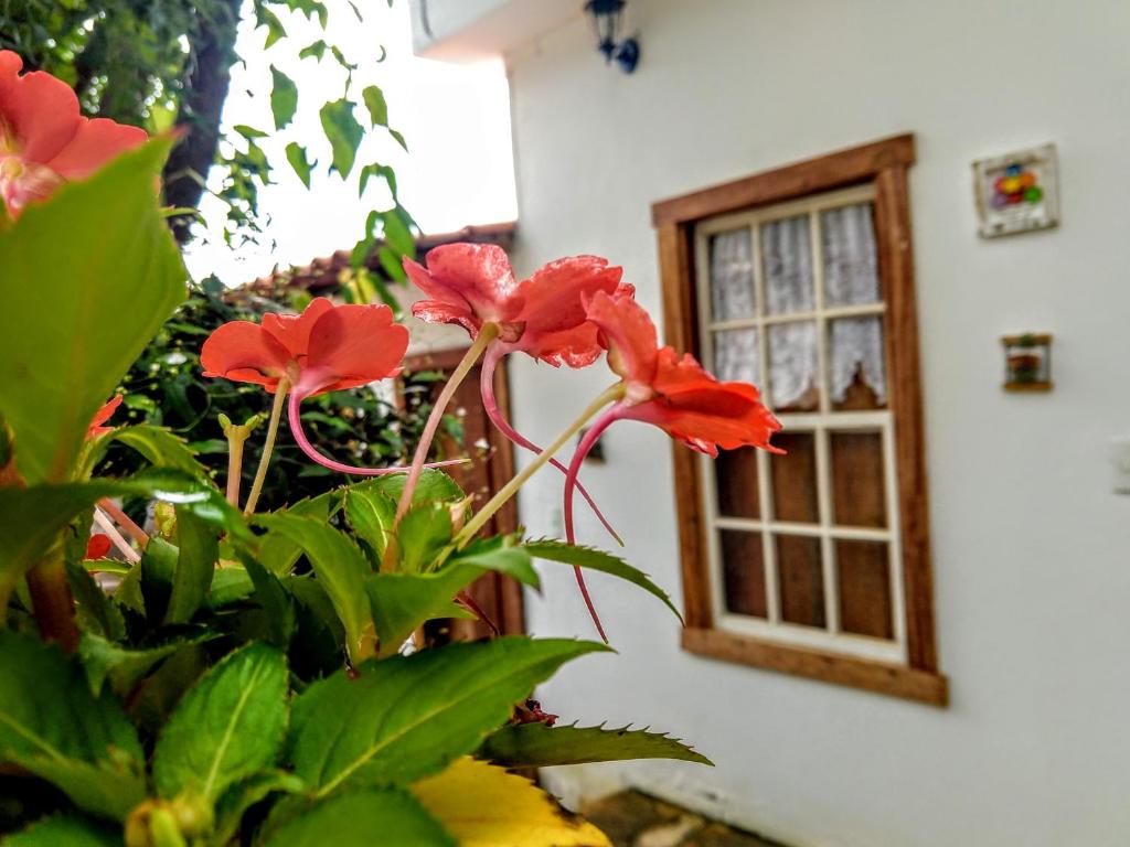  Pousadinha Vila Valentina
