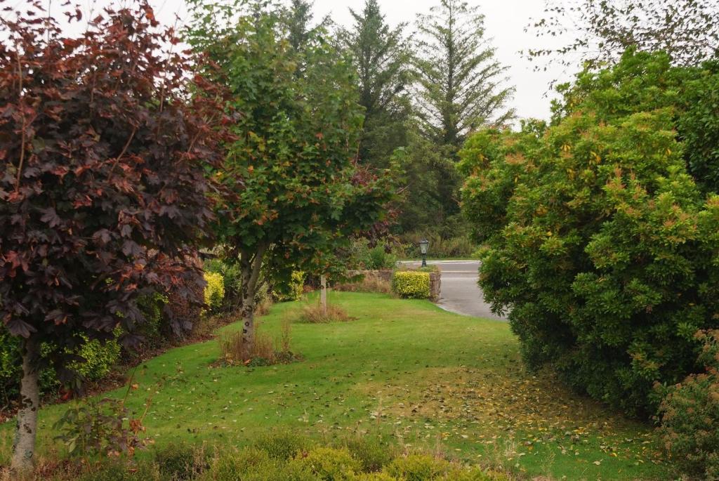 a road through a park with trees and grass at Gormans Country Home in Killarney