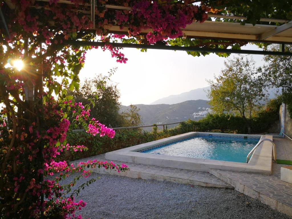 een zwembad in een tuin met roze bloemen bij Casa Lola in Sayalonga