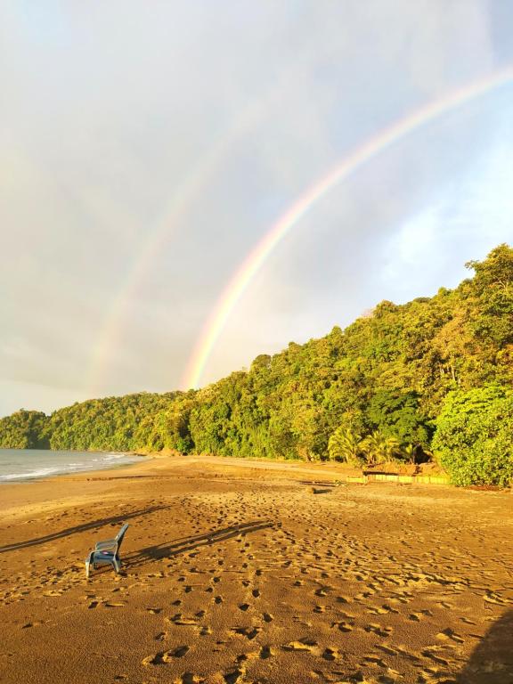 un arco iris sobre una playa con un banco en la arena en Safio. Una casa en el paraiso. en Nuquí
