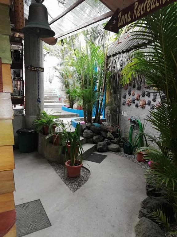 Bazén v ubytování Hostal Oloncito nebo v jeho okolí
