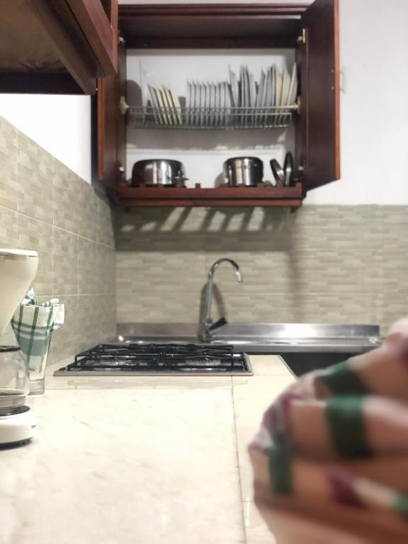 Kuchyň nebo kuchyňský kout v ubytování Fernando's Inn