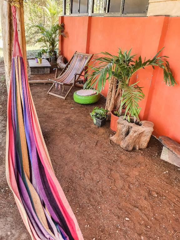 Zahrada ubytování Casa Ital-Tico, Playa Negra