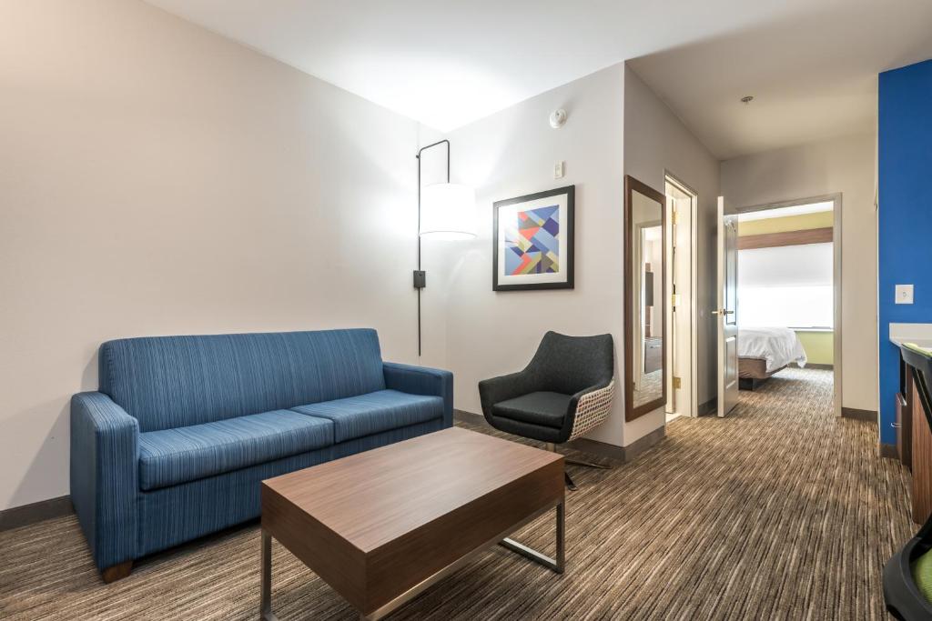 Holiday Inn Express Hotel & Suites Lagrange I-85 by IHG - キングスイート ソファベッド付