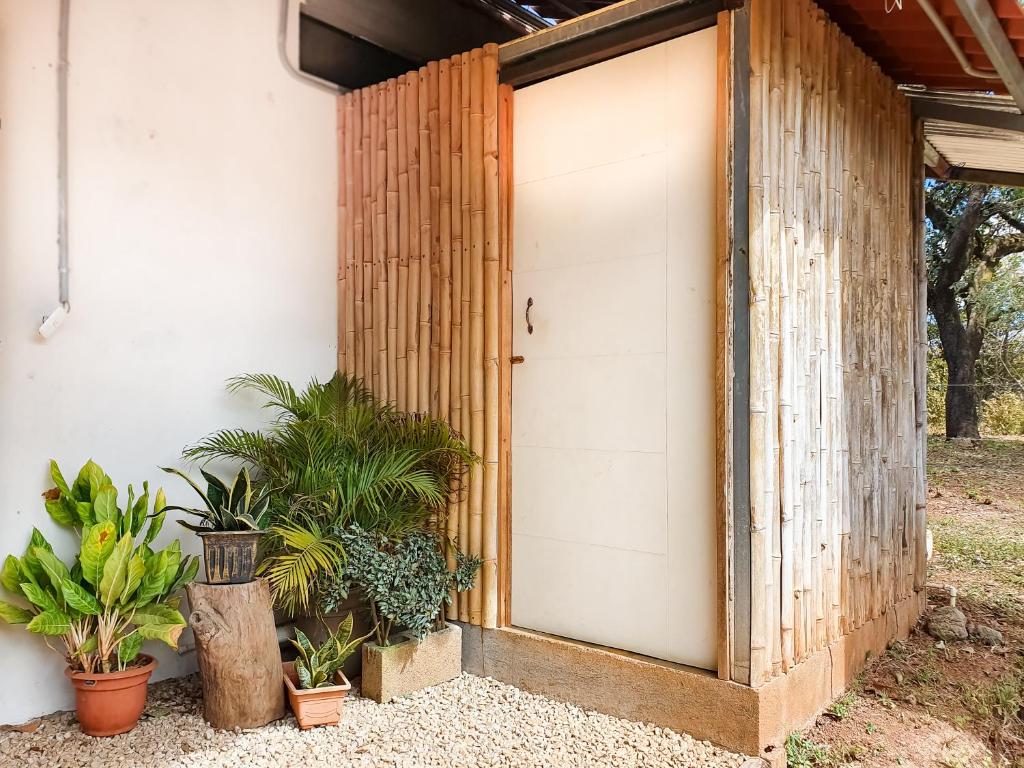 Zahrada ubytování Casa Ital-Tico, Playa Negra