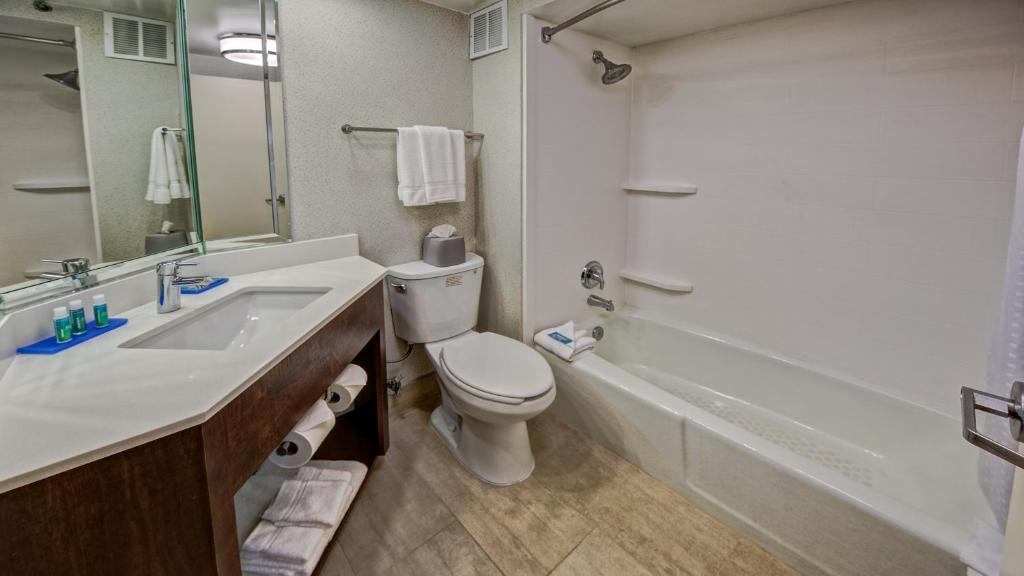 Holiday Inn Express Memphis Medical Center - Midtown by IHG - Standaard Kamer