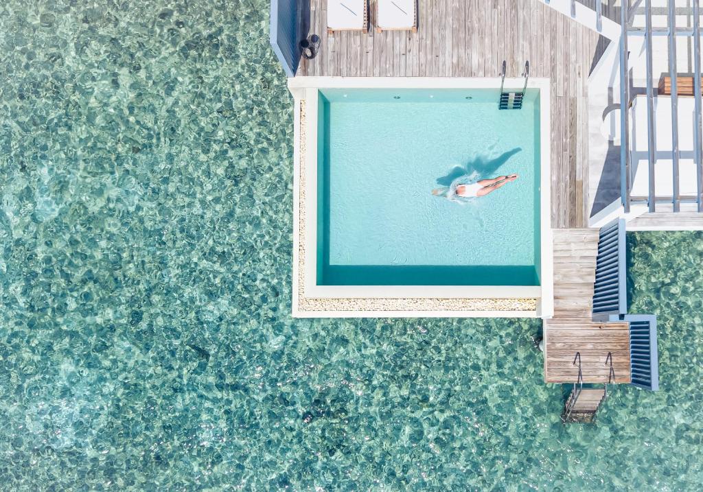 Bazén v ubytování Amilla Maldives nebo v jeho okolí