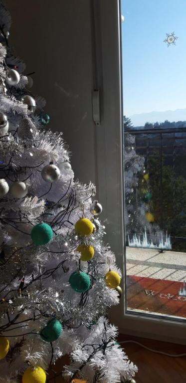 River View Apartment Gospic - 11