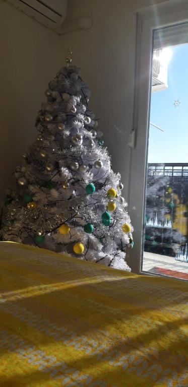 River View Apartment Gospic - 12