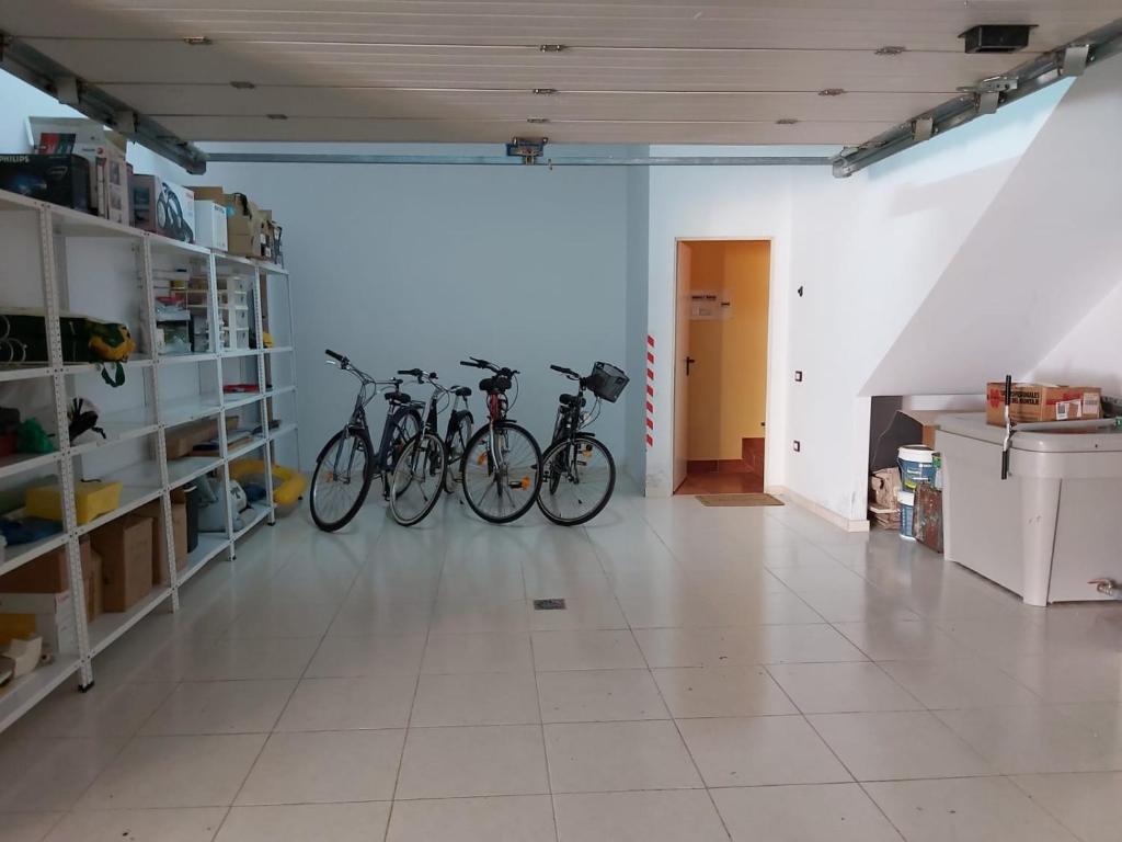 Jízda na kole v ubytování Villa Tenerife Sur nebo okolí