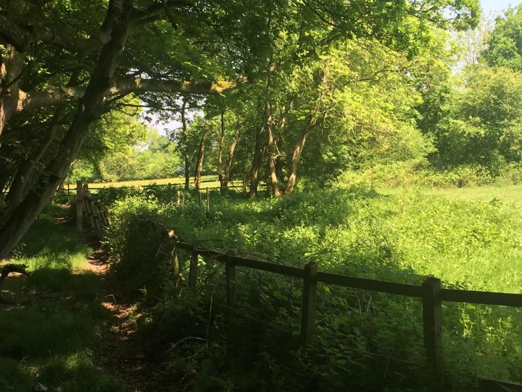 Sweetings Wood Glamping