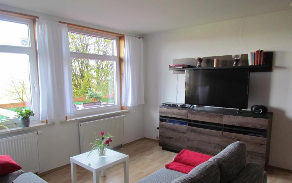 un salon avec un canapé et une télévision à écran plat dans l'établissement Ferienwohnung Apartement am Wolfsberg, à Reinhardtsdorf